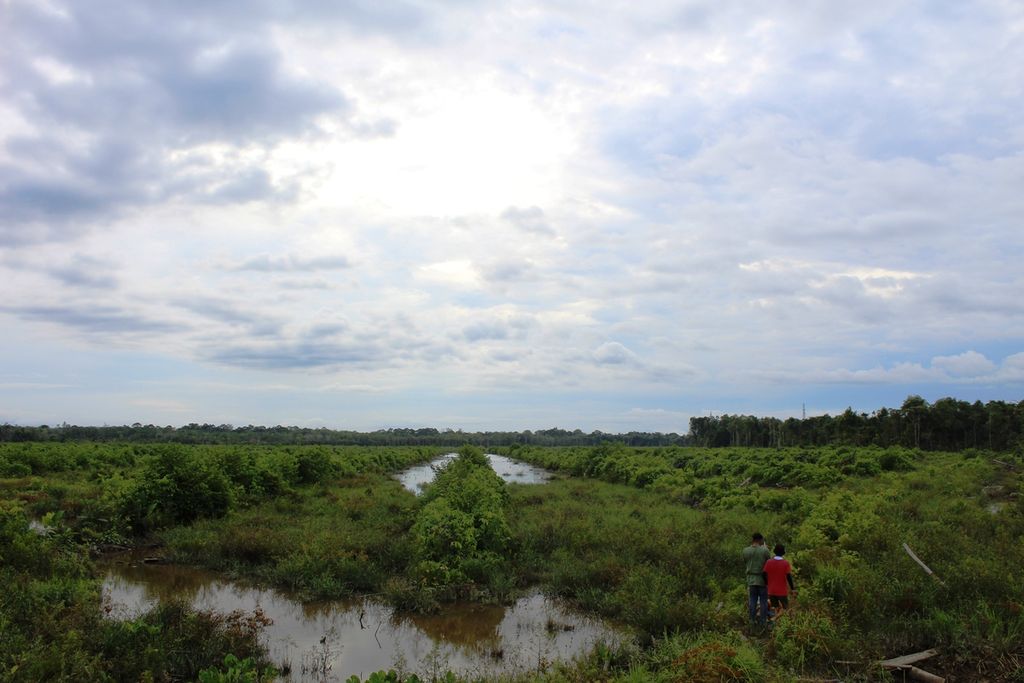 Salah satu kawasan cetak sawah yang sudah satu tahun tak bisa ditanami karena tak ada jalan masuk ke petak-petak sawah yang baru dibuat di pinggir Sungai Kahayan, Desa Pilang, Kabupaten Pulang Pisau, Kalteng, Minggu (9/10/2022).