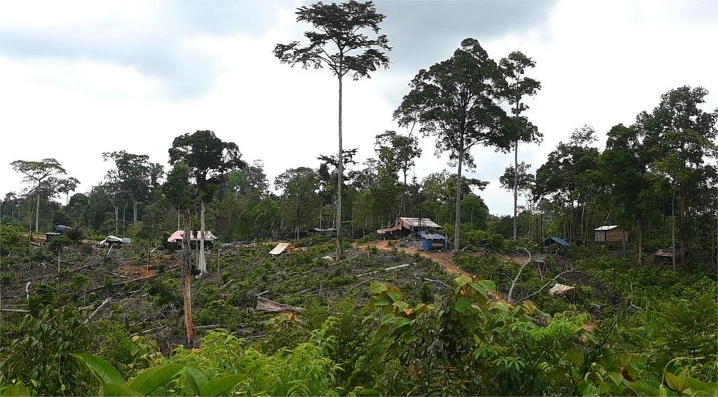 Aktivitas tambang ilegal minyak bumi berlangsung kian parah di hutan negara perbatasan Jambi dan Sumatera Selatan, Senin (4/10/2024) sore.