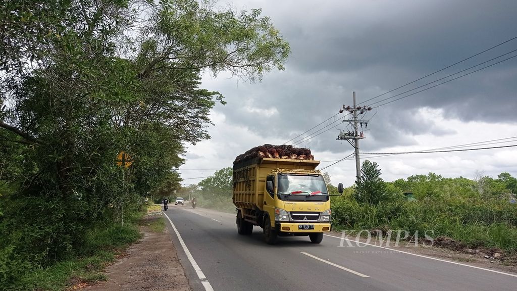 Sebuah truk pengangkut tandan buah segar kelapa sawit melintas di Jalan Mahir Mahar, Kota Palangkaraya, Kalimantan Tengah, Kamis (28/7/2022). Harga sawit di kalangan petani masih jauh dari normal meski harga CPO tinggi di pasar internasional.
