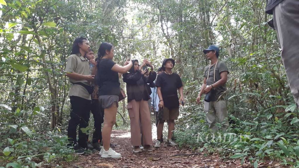 Selain berwisata, pengunjung juga bisa belajar mengenal flora dan fauna yang ada di Taman Nasional Tanjung Puting, Kotawaringin Barat, Kalteng, sambil menikmati keindahan alam Sungai Sekonyer dan hutan di kanan kirinya, pada Senin (26/2/2024).