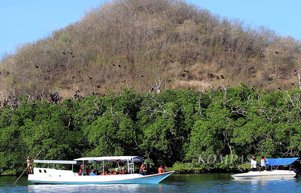 Wisatawan menyaksikan ribuan kelelawar di Pulau Kelelawar, Kecamatan Riung, Kabupaten Ngada,  Nusa Tenggara Timur, Senin (14/8).  Di kabupaten ini  terdapat gugusan 17 pulau yang memiliki keunikan masing-masing.