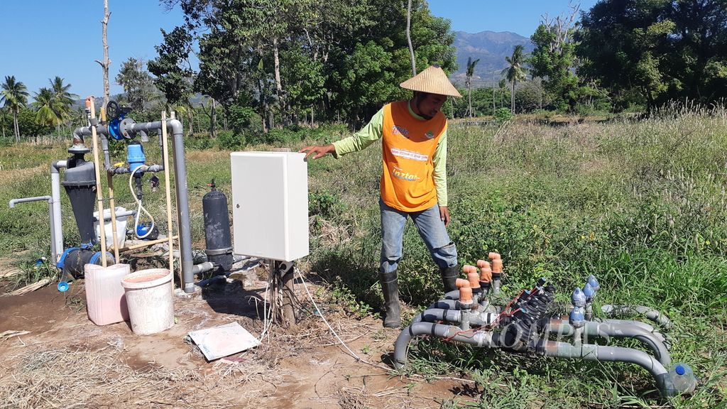 Petugas memeriksa rangkaian irigasi tetes berbasis digital di Maumere, Kabupaten Sikka, Nusa Tenggara Timur, Selasa (21/6/2022). Pengairan dengan sistem itu lebih efektif dan efisien. Cocok untuk daerah yang minim sumber air.