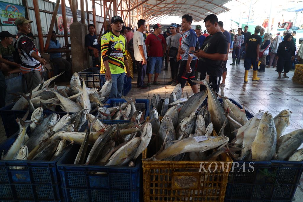 Ikan hasil tangkapan nelayan dilelang di Tempat Pelelangan Ikan Karang Song, Indramayu, Jawa Barat, Sabtu (23/12/2023). Data Kementerian Kelautan dan Perikanan menyebutkan volume penangkapan ikan selama 2022 mencapai hampir 8 juta ton dengan nilai hasil tangkapan sebesar Rp 249 triliun. 