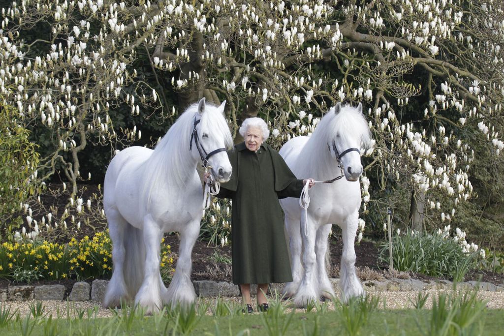 Foto yang dirilis Royal Windsor Horse Show pada 20 April 2022 ini menunjukkan Ratu Elizabeth II berpose dengan kudanya, Bybeck Nightingale (kanan) dan Bybeck Katie, di halaman Kastil Windsor. Ratu Elizabeth berulang tahun ke-96 pada 21 April 2022. 