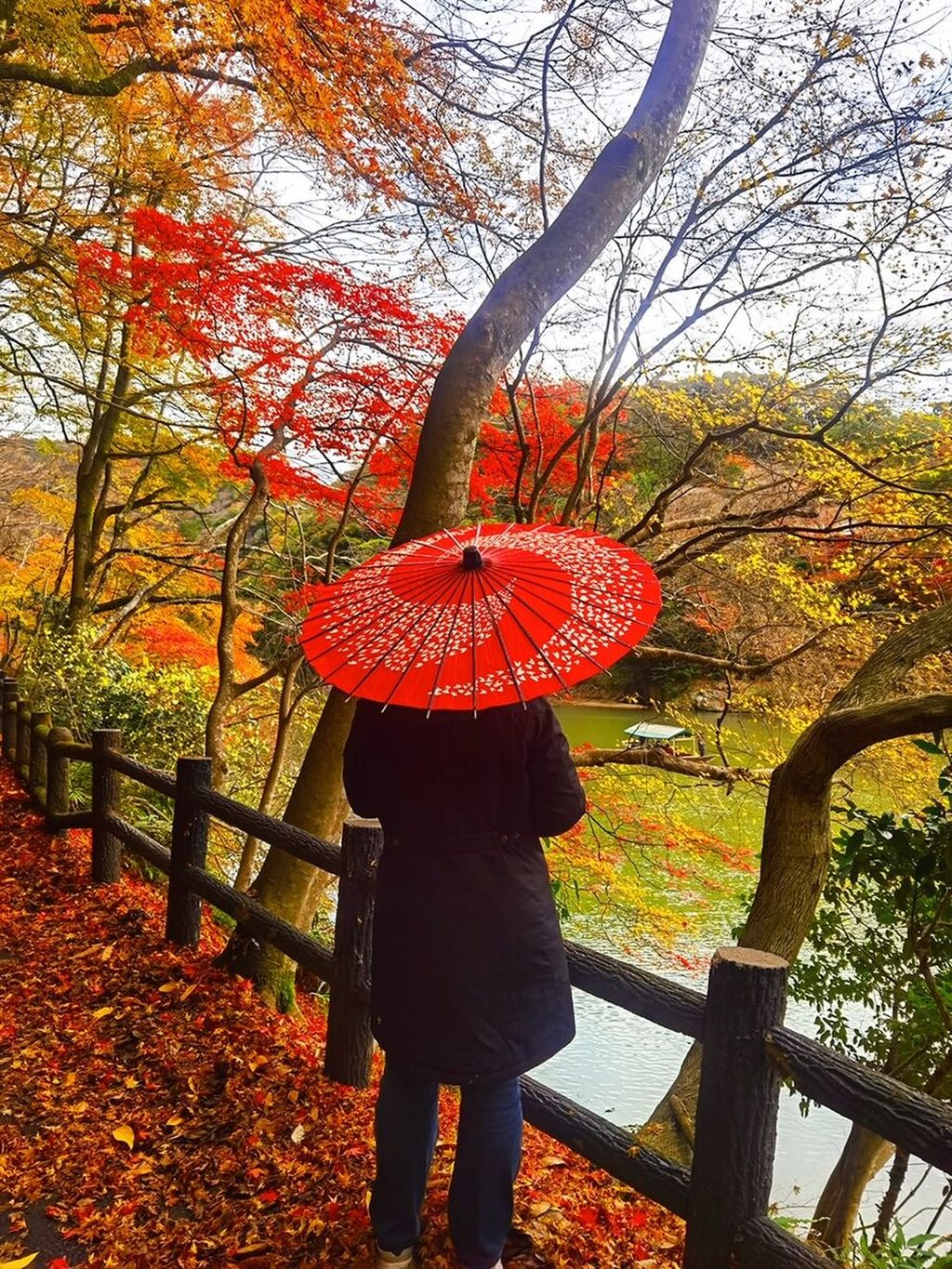 Purbasari Daruningsih (45) menikmati musim gugur di Kyoto, Jepang. Arsip : Purbasari Daruningsih