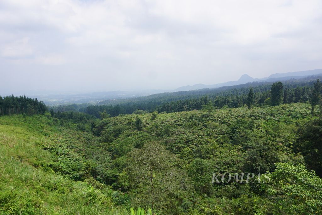 Pemandangan dari wisata Safari See to Sky di lereng Gunung Slamet, Banyumas, Jawa Tengah, Sabtu (5/8/2023).