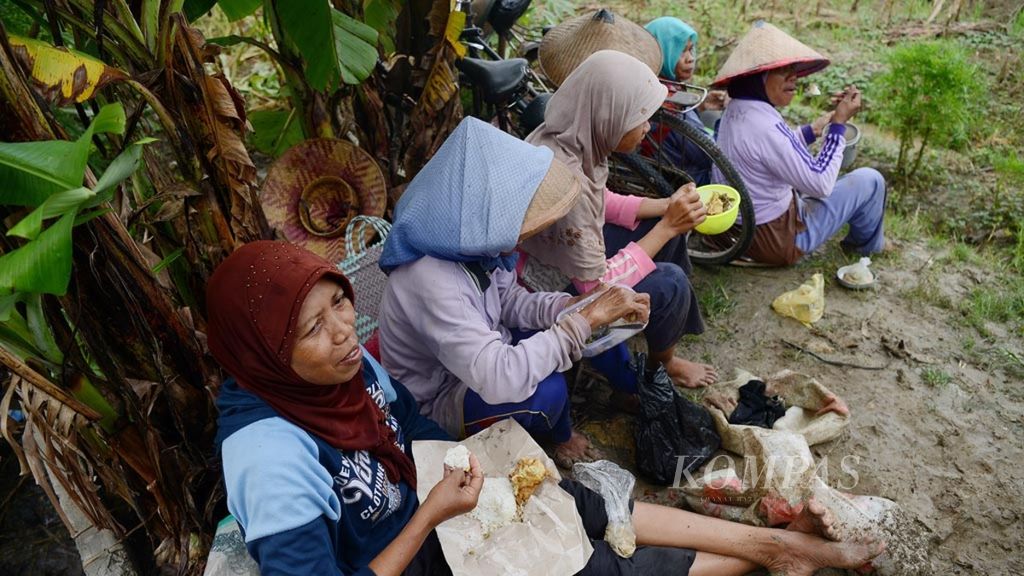 Sejumlah perempuan menyantap bekal mereka sebelum memulai aktivitas mereka menanam bibit bawang merah yang banyak dikembangkan di Desa Kuwaron, Kecamatan Gubug, Kabupaten Grobogan, Jawa Tengah, Selasa (22/1/2019). 