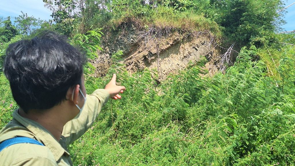 One of the hills in Baribis Village, Cigasong District, Majalengka Regency, West Java, on Sunday (5/19/2024). The exposure on this hill is likely to indicate traces of fault activity.