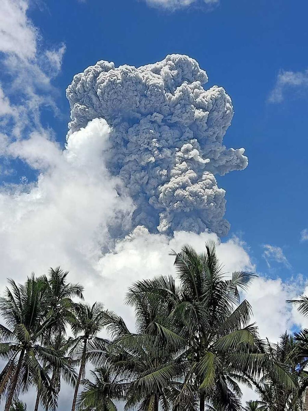 Erupsi Gunung Ibu dengan tinggi kolom abu vulkanik setinggi 7.000 meter yang terlihat dari Desa Duono, Halmahera Barat, Minggu (2/6/2024).