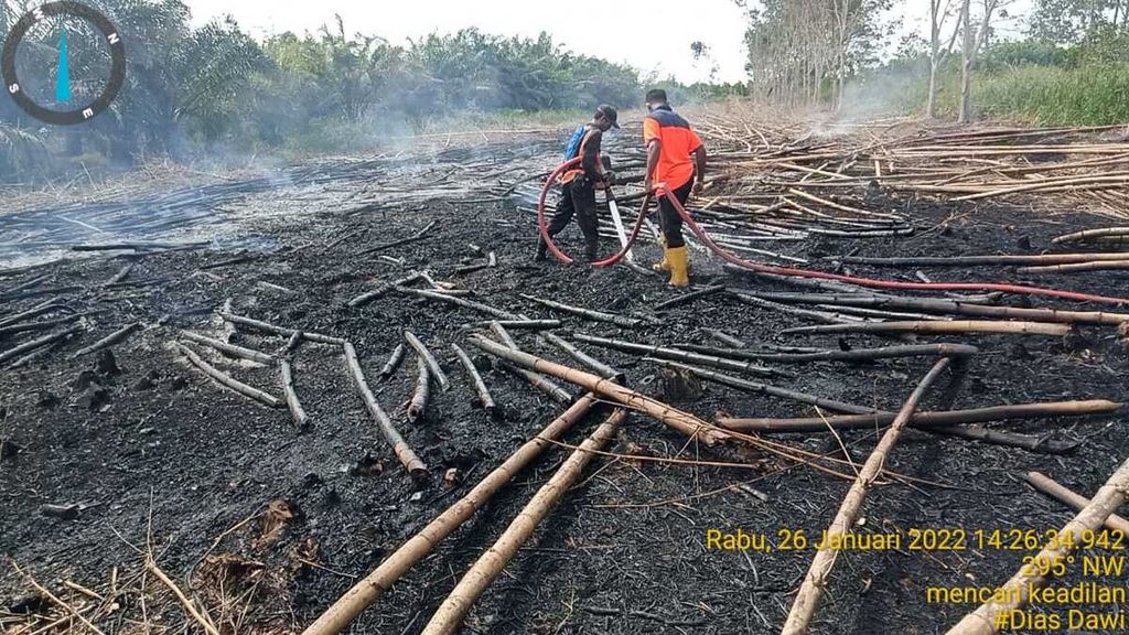 Petugas Badan Penanggulangan Bencana Daerah (BPBD) Kotawaringin Barat, Kalimantan Tengah, berrusaha memadamkan api di lahan terbengkalai yang terbakar di Kotawaringin Barat, Kalteng, Rabu (27/1/2022).