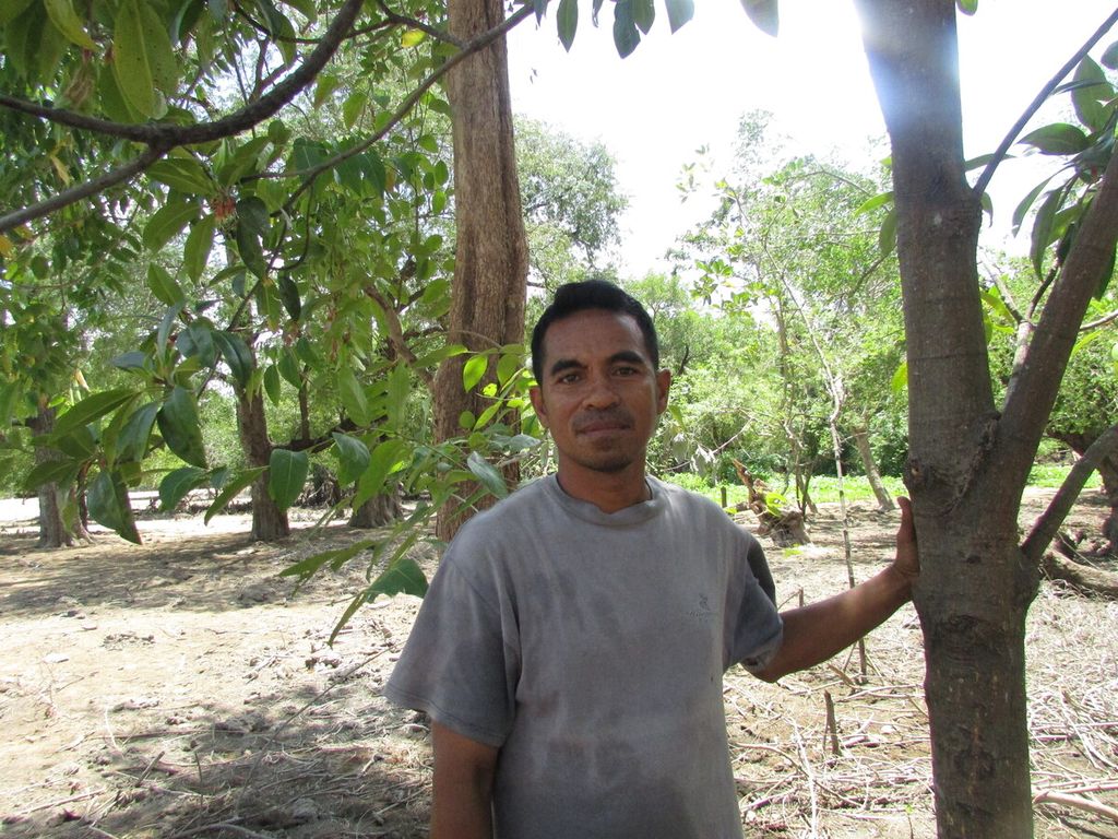 https://cdn-assetd.kompas.id/5klwac4x0YAMqSlDMTlUVCVnewA=/1024x768/https%3A%2F%2Fkompas.id%2Fwp-content%2Fuploads%2F2021%2F09%2F37c926fb-f9c7-4d47-b35c-df3d0675298b_jpg.jpg