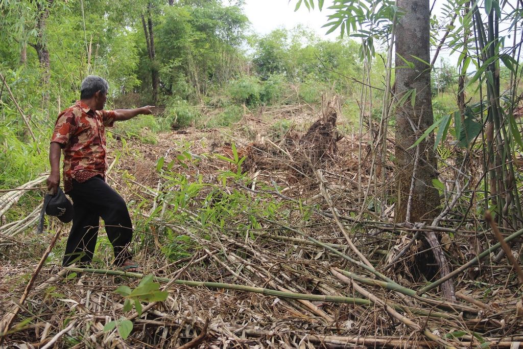 Salah satu warga di Kabupaten Ketapang menunjukkan tanahnya yang diserobot perusahaan sawit pada 2016. Tak kunjung disahkannya pengakuan terhadap hutan adat memicu konflik agraria.