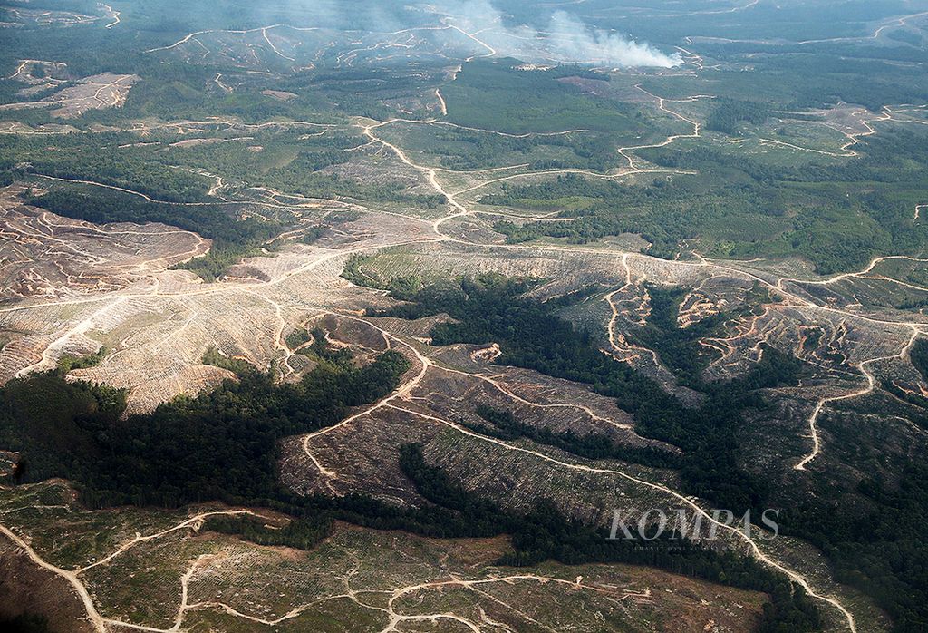 Lahan-lahan perkebunan terlihat sebelum pesawat mendarat di Bandara Silangit, Siborong-borong, Tapanuli Utara, Sumatera Utara, Jumat (19/8). Salah satu fungsi pembukaan hutan alam adalah untuk tanaman industri.