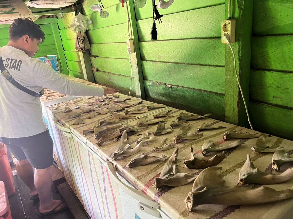 Polisi menemukan penjualan tanpa izin sirip dan ekor ikan pari di Tempat Penjualan Ikan Jalan Pangkalan, RT 001 Desa Bunyu Selatan, Kecamatan Bunyu, Kabupaten Bulungan, Kalimantan Utara, Senin (28/11/2022).