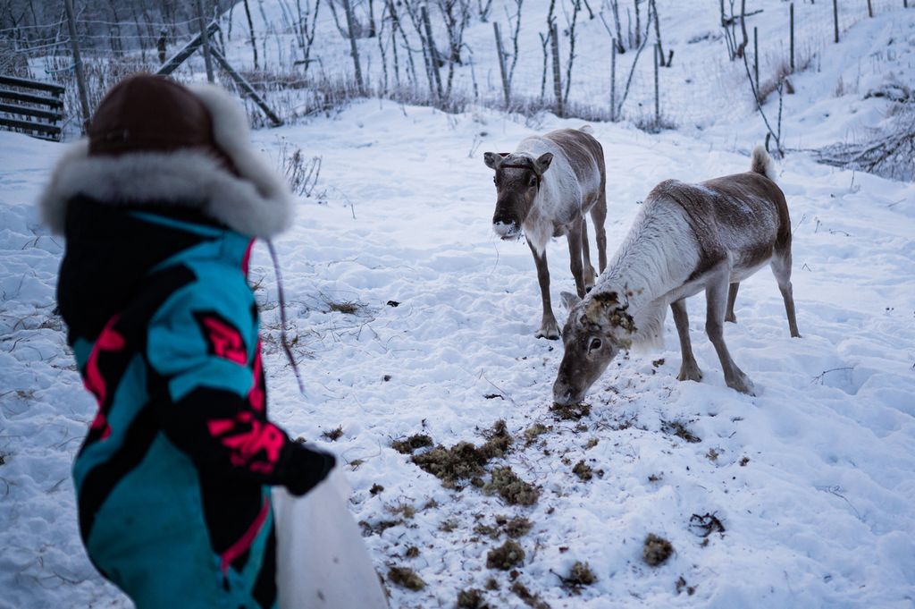 AAnna Nakkalajarvi-Lansman di tempat konservasi rusa liar di Nuorgam, Finlandia, pada November 2021. Sejak 2017, Finlandia selalu di urutan pertama daftar negara paling bahagia menurut PBB. Kehidupan luar ruang menjadi salah satu resep kebahagiaan mereka.