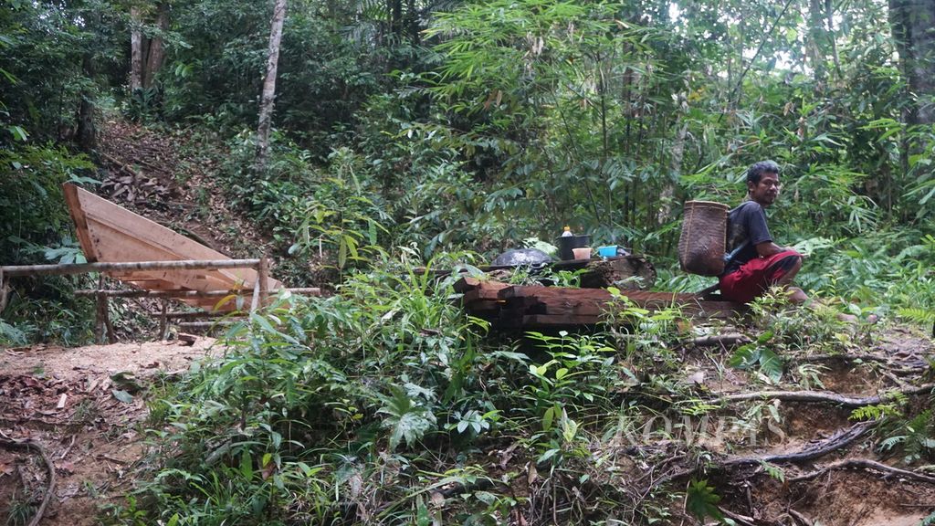 Di hutan Kinipan, selain berburu dan meramu, warga juga membuat perahu untuk transportasi sungai. Dayak Tomun di Desa Kinipan merupakan keturunan dari Kerajaan Sarang Paruya.