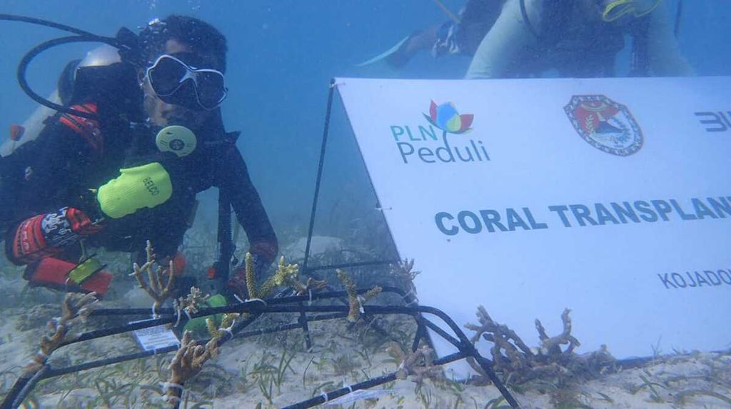 Salah satu petugas penyelam sedang berada di dasar laut, merangkai tali untuk mengikat terumbu karang.