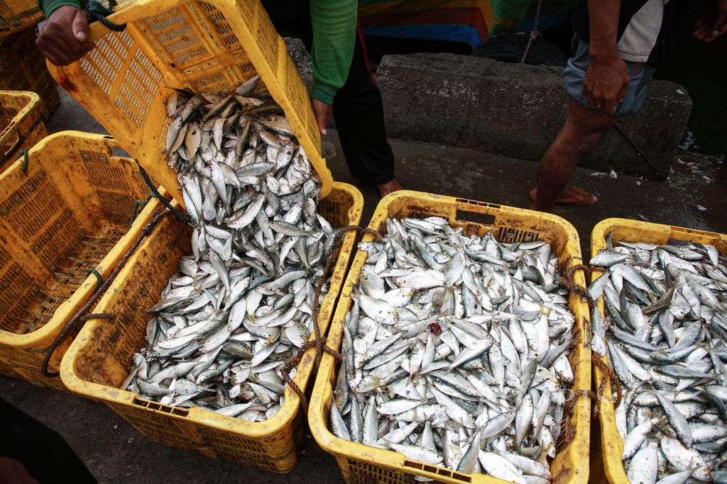 Aktivitas bongkar muat ikan di Pelabuhan Muara Anke, Penjaringan, Jakarta Utara, Rabu (7/12/2022). Selama Januari-September 2022, nilai ekspor perikanan tercatat 4,61 miliar dollar AS atau baru 64,65 persen dari target tahun 2022.