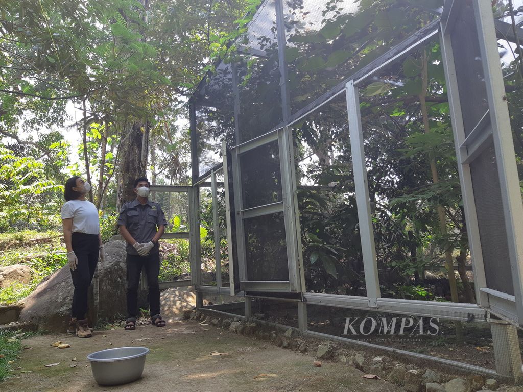 Suasana di Pusat Rehabilitasi Burung Berkicau yang berdiri di Kawasan Taman Hutan Raya Wan Abdul Rachman, Kota Bandar Lampung, pada Rabu (21/8/2024). 