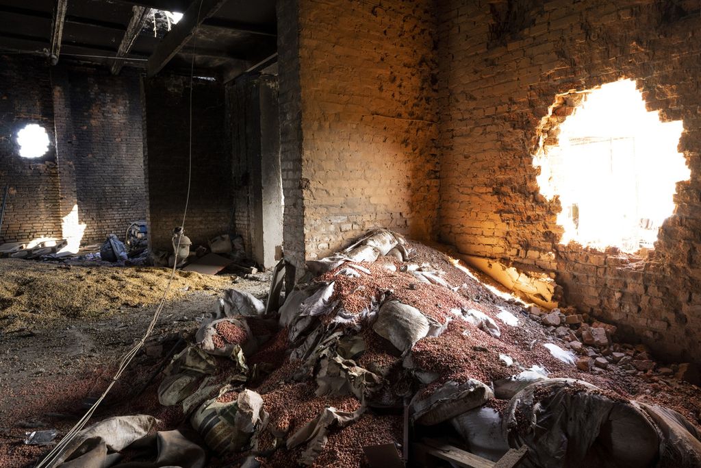 Tumpukan gandum teronggok di sebuah gudang yang rusak akibat serangan Rusia di Cherkaska Lozova, pinggiran Kharkiv, Ukraina, 28 Mei 2022. 