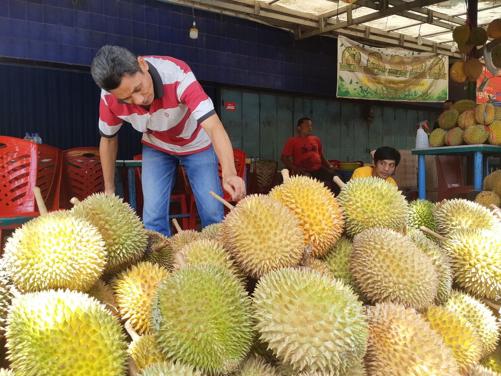Pedagang sedang memilah durian di kawasan Pasar Durian Kuto, Rabu (4/5/2022). Durian menjadi salah satu buah kegemaran warga Palembang dan pendatang. Ribuan durian ludes disantap setiap harinya.