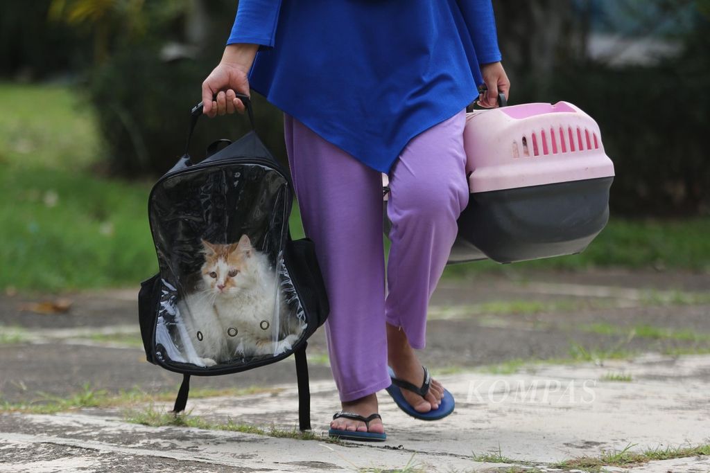 Warga membawa kucing peliharaannya saat kegiatan vaksinasi rabies yang diselenggarakan Suku Dinas Ketahanan Pangan, Kelautan, dan Pertanian Kota Jakarta Barat di RW 005, Joglo, Senin (29/11/2021).