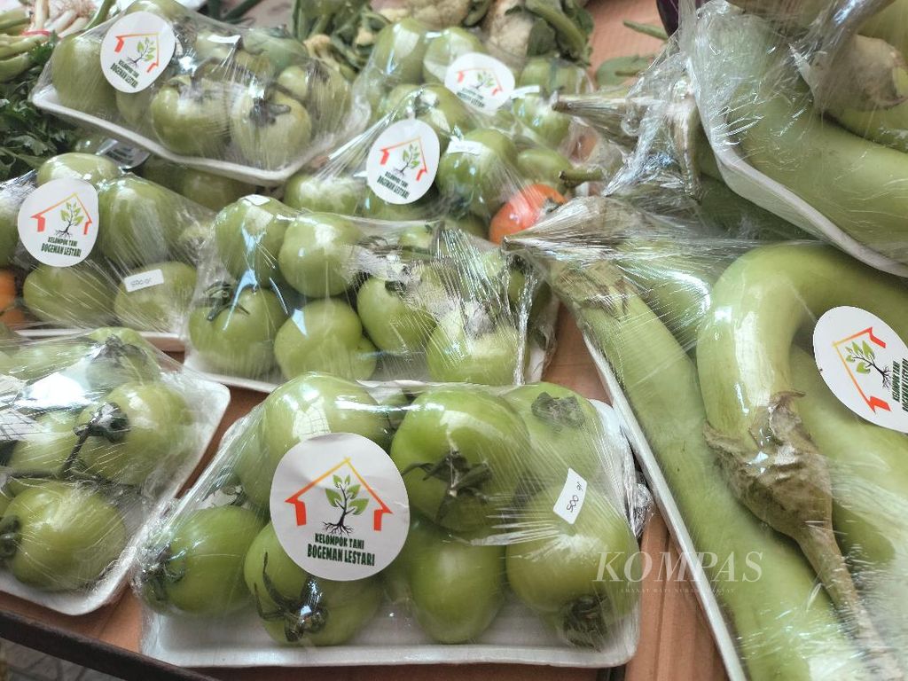 Tomat hijau produksi salah satu kelompok tani di Kota Magelang, Jawa Tengah, dijual dalam ajang Plaza Tani yang digelar pada Jumat (2/9/2022). Tomat hijau ini adalah hasil panen dari tanaman yang ditanam di pekarangan rumah warga.