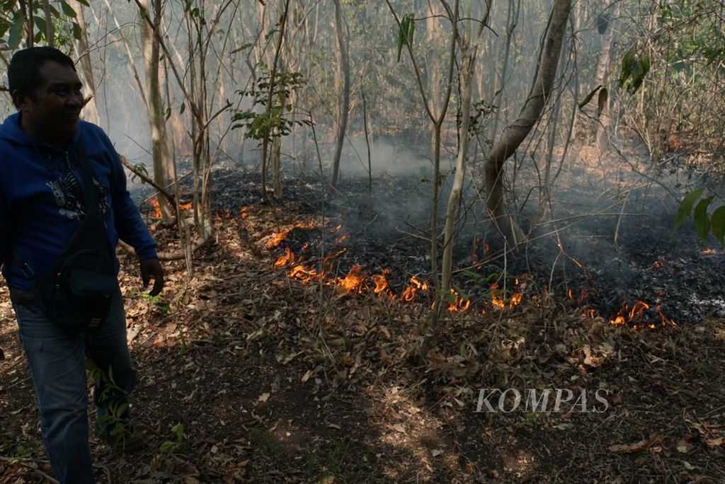 Kebakaran lahan terjadi di hutan Taman Wisata Alam Batuputih, Bitung, Sulawesi Utara, pada Jumat (27/9/2019). Kebakaran itu menyebabkan seekor rusa mati.