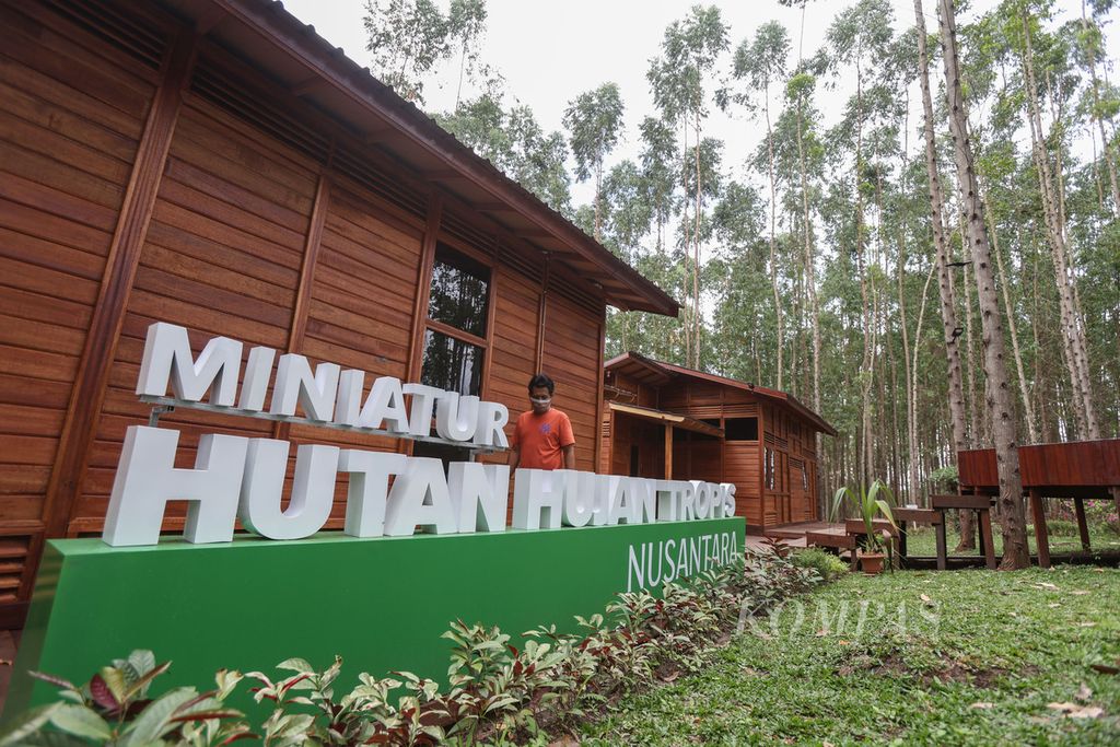 Aktivitas warga di kawasan Miniatur Hutan Hujan Tropis di kawasan Ibu Kota Nusantara (IKN), Kabupaten Penajam Paser Utara, Provinsi Kalimantan Timur, Sabtu (30/12/2023). 