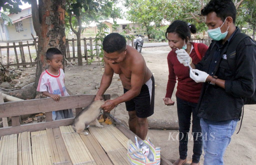 Petugas kesehatan hewan Dinas Pertanian Kabupaten Sikka (kanan) bersiap untuk menyuntikkan vaksin antirabies pada anjing di Desa Watugong, Kecamatan Alok Timur, Sikka, Flores, Nusa Tenggara Timur, awal September 2018.