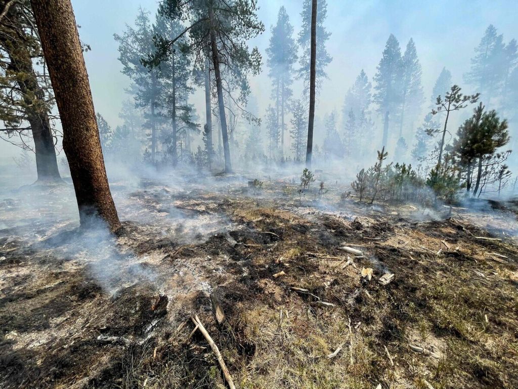 Foto Biro Kehutanan Amerika Serikat bertanggal 18 Juli 2021 ini menunjukkan sisa-sisa kebakaran Bootleg di Klamath, Negara Bagian Oregon, AS. 