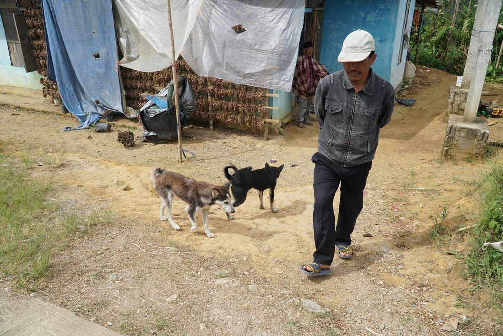 Warga melintas di halaman rumah seorang warga yang sering dihampiri harimau di Jorong Lurah Ingu, Nagari Simpang Tanjuang Nan IV, Kecamatan Danau Kembar, Kabupaten Solok, Sumbar, Jumat (4/12/2020) sore. Dua harimau sumatera berkeliaran di permukiman dan jalan raya di Nagari Simpang Tanjuang Nan IV sejak Rabu (2/12/2020) dan memangsa anjing, ayam, dan itik peliharaan warga.