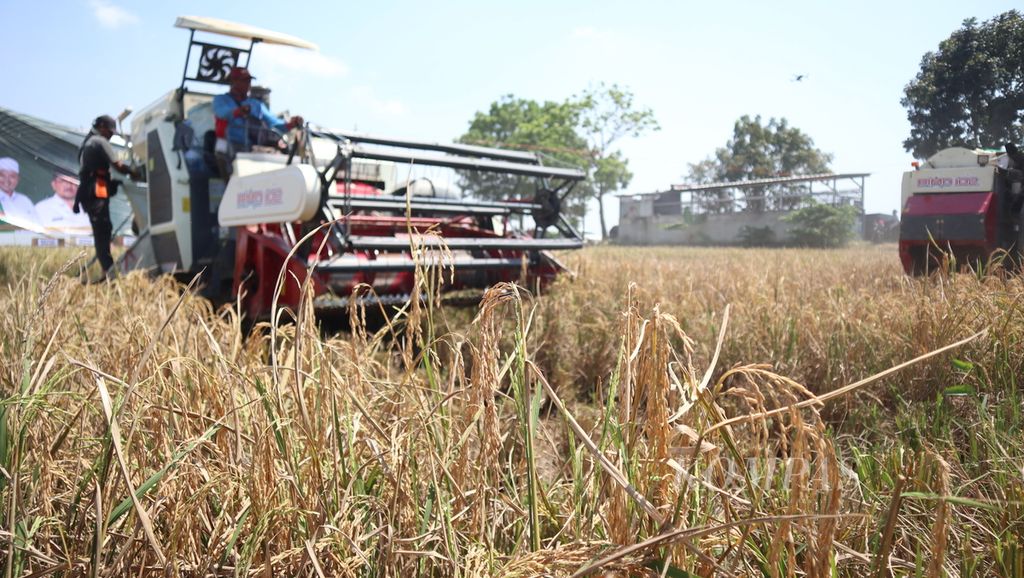 Buruh tani mengoperasikan mesin panen combine saat panen padi di Desa Jagapura Kulon, Kecamatan Gegesik, Kabupaten Cirebon, Jawa Barat, Senin (15/5/2023). Harga gabah kering panen di tingkat petani di wilayah itu berkisar Rp 5.000 - Rp 5.400 per kilogram. Meski harga itu di atas harga pembelian pemerintah, sejumlah petani mengeluhkan penurunan produksi akibat banjir, masalah pengairan, dan hama tikus.