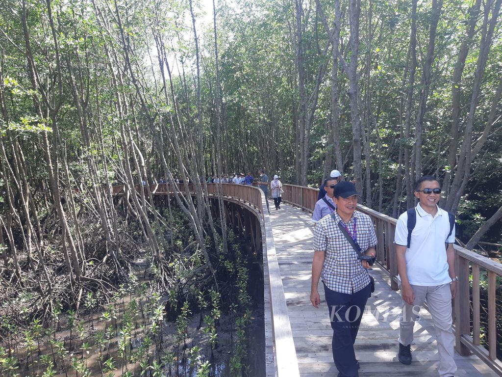 Pohon mangrove berjejer di Taman Hutan Raya Ngurah Rai, Badung, Bali, Kamis (8/12/2022). 
