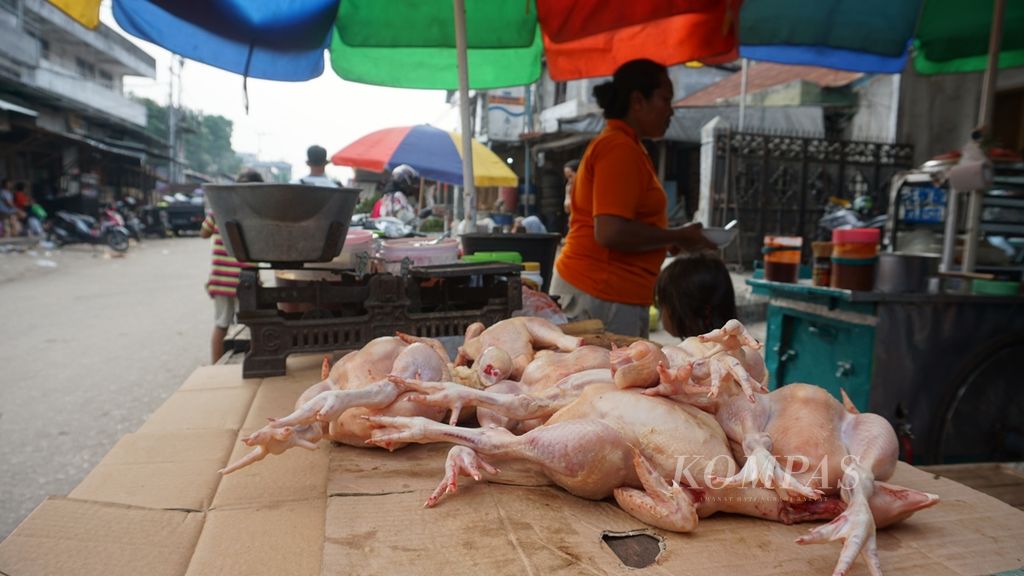 Lapak penjual ayam potong di Kota Palangkaraya, Kalimantan Tengah, Jumat (29/11/2019).