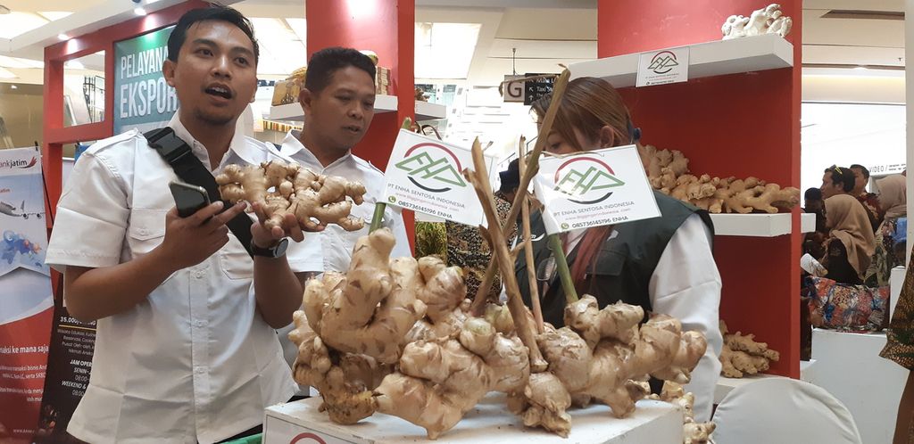 Petani dan eksportir jahe gajah menunjukkan produknya saat pameran di Surabaya, Jatim, Selasa (30/5/2023). Jahe gajah menjadi komoditas pendulang devisa dengan negara tujuan Bangladesh. 