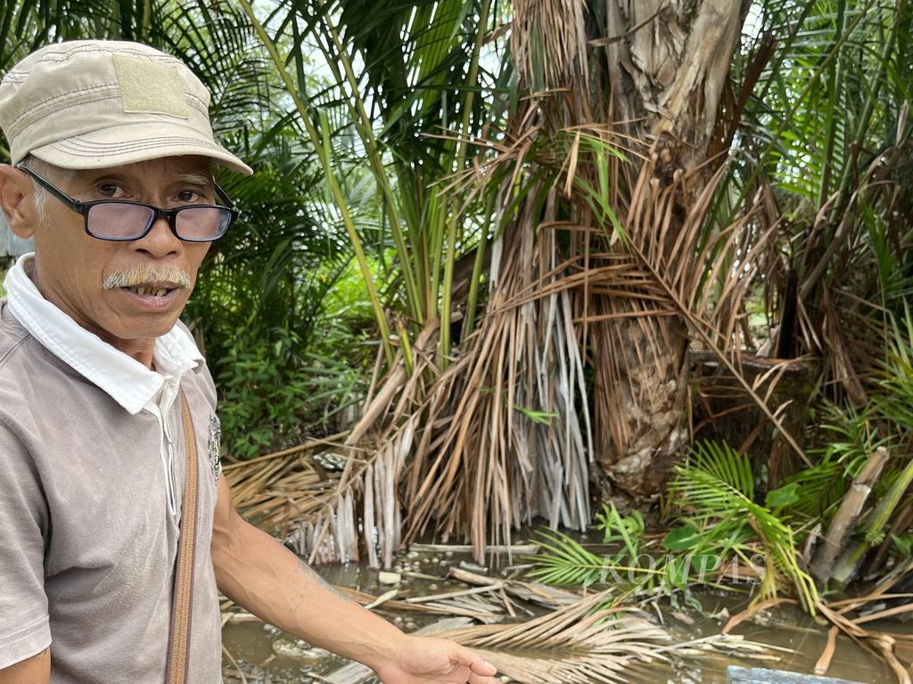 Sanyo, Mantir Adat Desa Kalumpang, Kabupaten Kapuas, Kalimantan Tengah, menunjukkan pohon sagu rumbia yang banyak tumbuh di sekitar desa. Sumber karbohidrat kompleks ini bisa jadi cadangan pangan masyarakat, selain padi dan umbi-umbian.