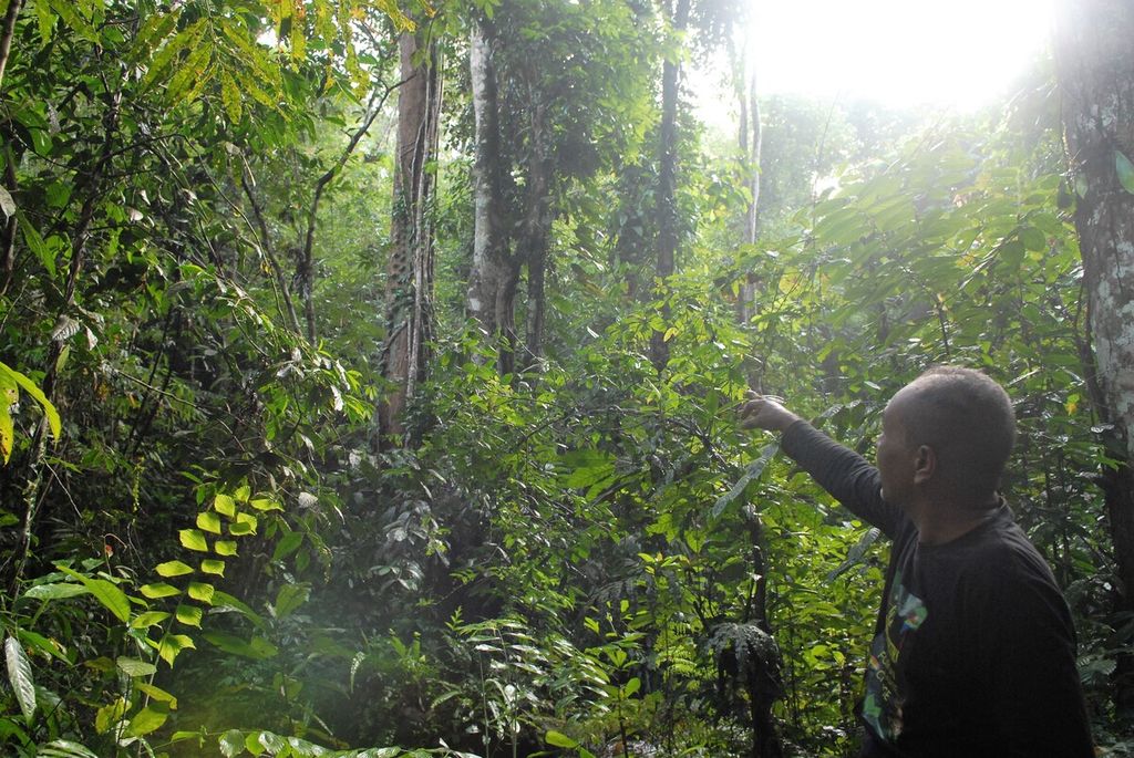 Keasrian alam di penyangga Hutan Adat Bukit Raya, Kawasan Karst Bukit Bulan, Sarolangun, Jambi. Potensi ekowisatanya menarik untuk dikembangkan, Rabu (17/11/2021).