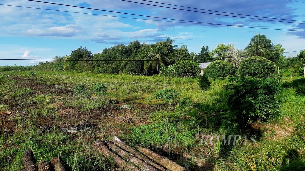 Kebun-kebun sayur di Kalampangan, Kota Palangkaraya, Kalimantan Tengah, pada Rabu (12/10/2022). Kebun yang sempat terendam banjir itu kini mulai ditanami lagi. Di tempat itu, banjir sudah melanda dua kali selama 2022.