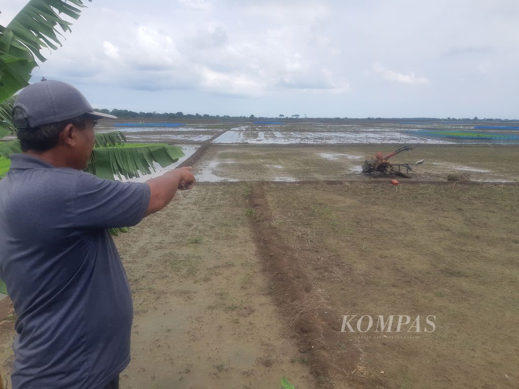 Petani menunjukkan sawah yang belum ditanami padi di Desa Jagapura Wetan, Kecamatan Gegesik, Kabupaten Cirebon, Jawa Barat, Senin (26/2/2024). Petani belum bisa menanam padi akibat kesulitan air. Padahal, mereka seharusnya sudah mulai menanam bulan Januari lalu.