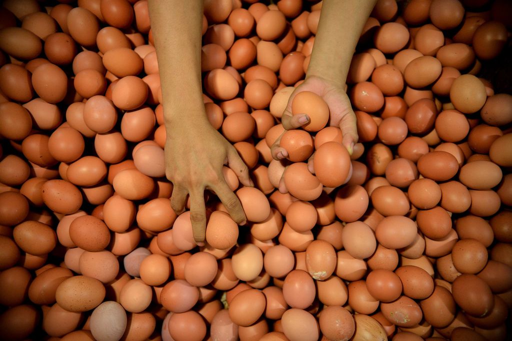 Tangan pedagang saat mengambil sejumlah telur yang dipesan pembeli di salah satu toko di Pasar Kramatjati, Jakarta Timur, Jumat (19/5/2023). 