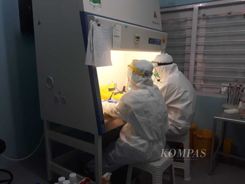 Dua petugas sedang memeriksa sampel tes usap di laboratorium Balai Penelitian dan Pengembangan Kesehatan Papua, Kota Jayapura, Kamis (1/10/2020).