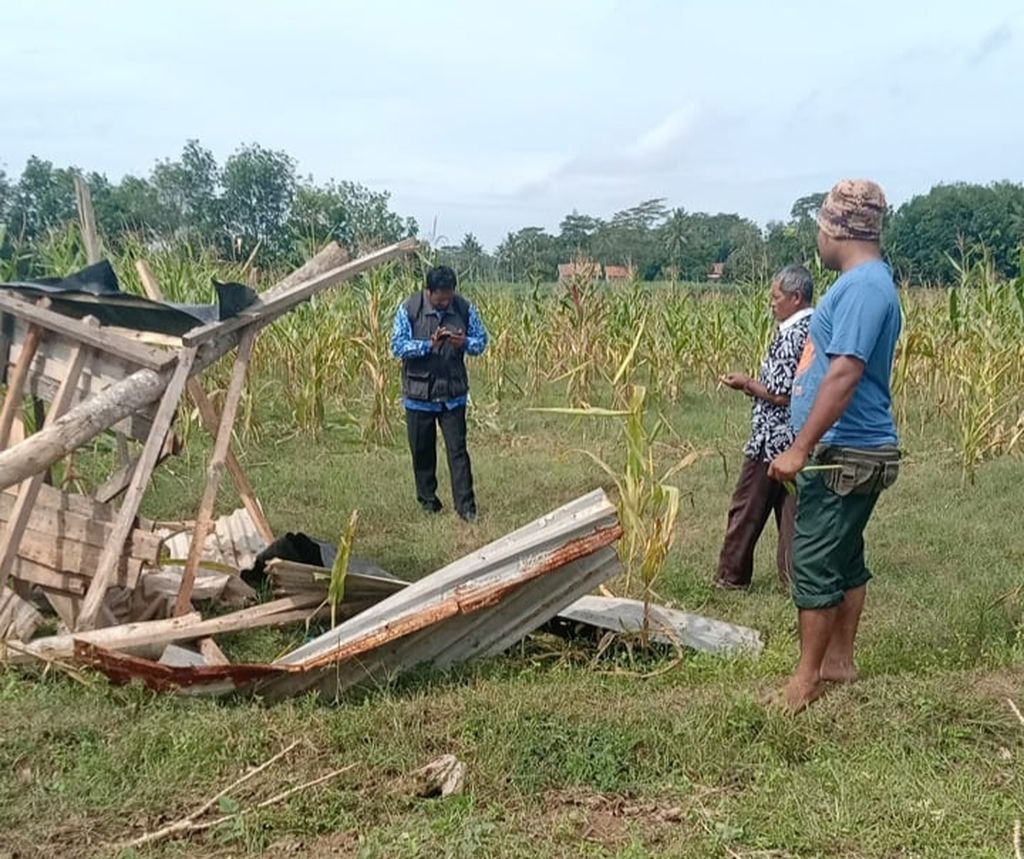 Petugas mengecek gubuk yang rusak diserang gajah liar di Kabupaten Lampung Timur, Kamis (10/11/2022) dini hari.