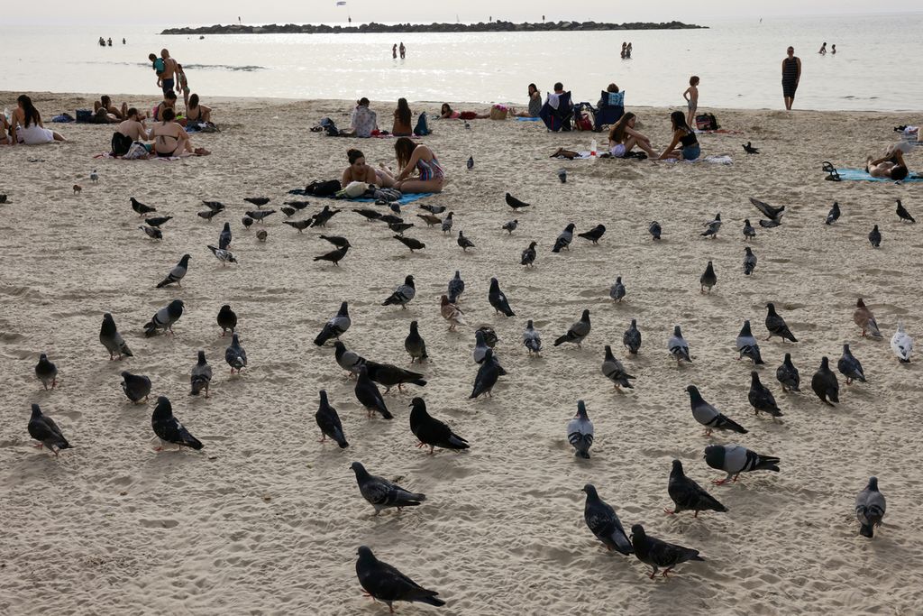 Residents without masks enjoy the day by lying on a beach that is also full of pigeons in the city of Tel Aviv, Israel, Monday (19/4/2021). 