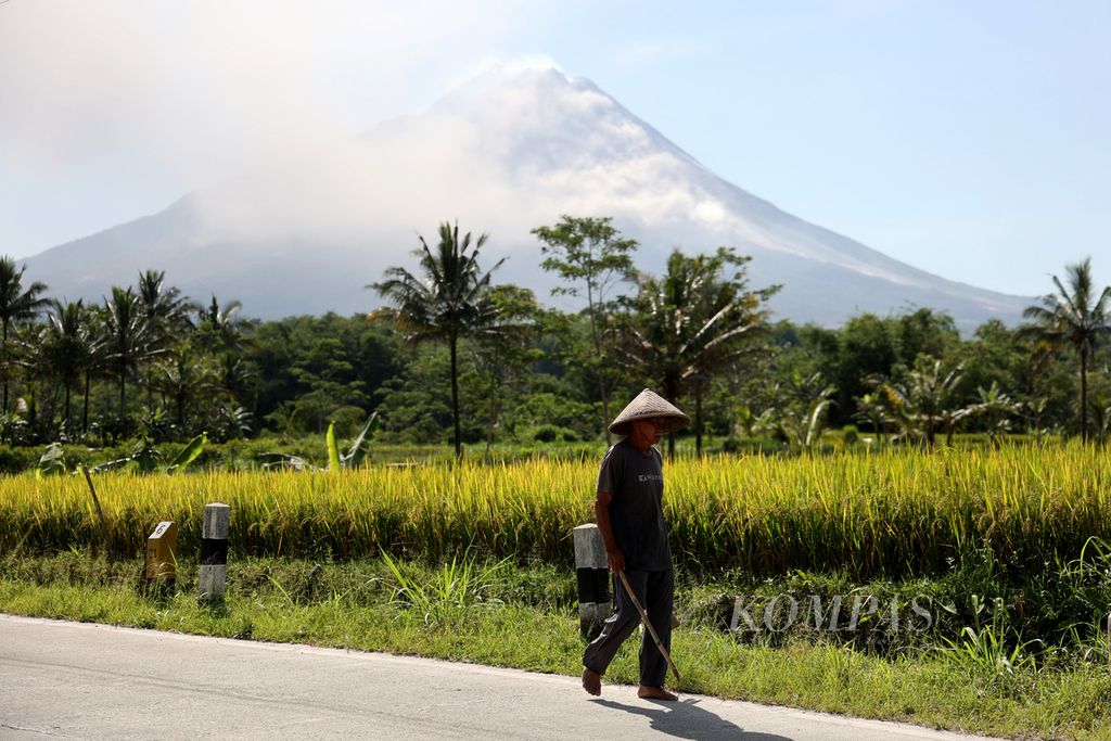 Petani mengusir hama burung pemakan padi saat terjadi erupsi Gunung Merapi di Desa Krogowanan, Sawangan, Magelang, Jawa Tengah, Minggu (12/3/2023). 