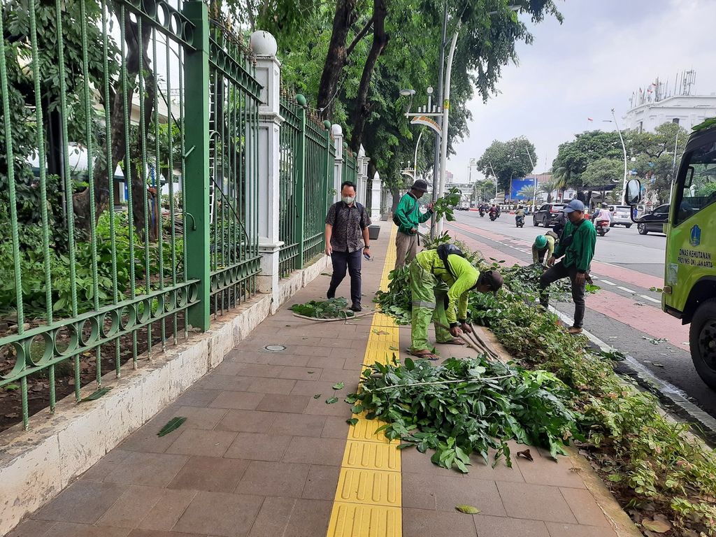 Petugas Dinas Pertamanan dan Hutan Kota DKI Jakarta memangkas dahan dan ranting pohon pelindung di depan Stasiun Gambir, Jakarta, Rabu (1/3/2023). 