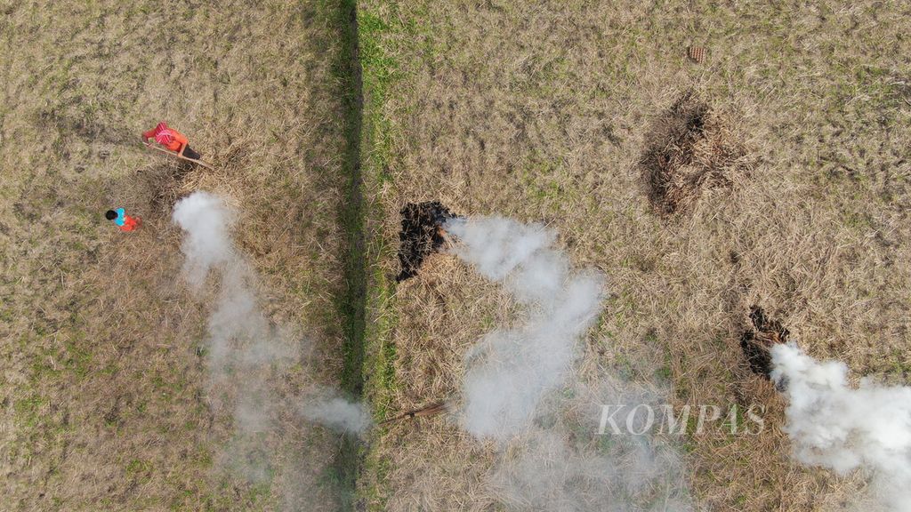 Petani di Dusun Pasir Nauli, Desa Simardangiang, Kecamatan Pahai Julu, Tapanuli Utara, Sumatera Utara, membakar jerami usai panen padi, Kamis (28/7/2022).