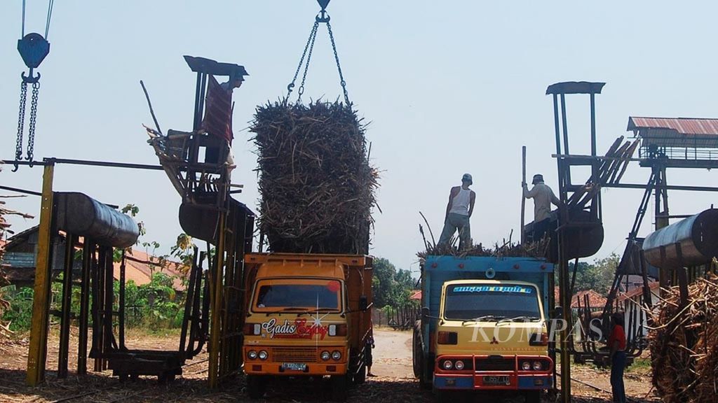 A number of employees unload sugar cane at the Rendeng Sugar Factory complex, Kudus Regency, Central Java, Friday (21/9/12).