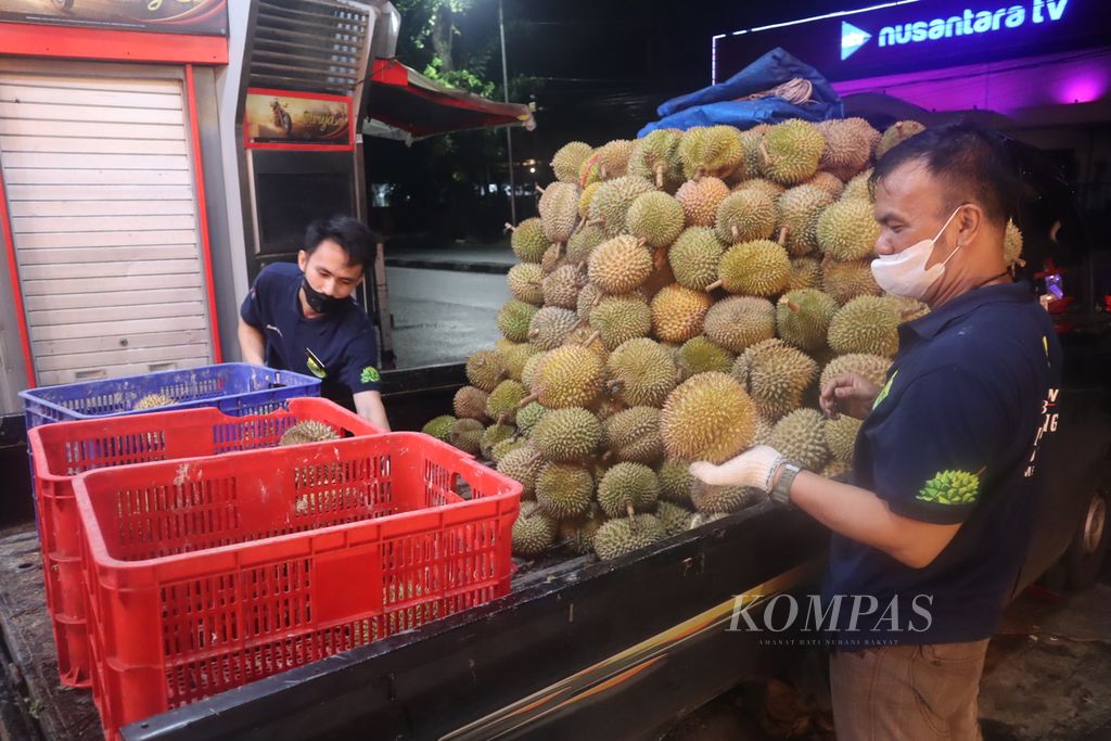 Pembongkaran durian di Si Bolang Durian Jalan Iskandar Muda, Medan, Sumatera Utara, Senin, (2/5/2022).