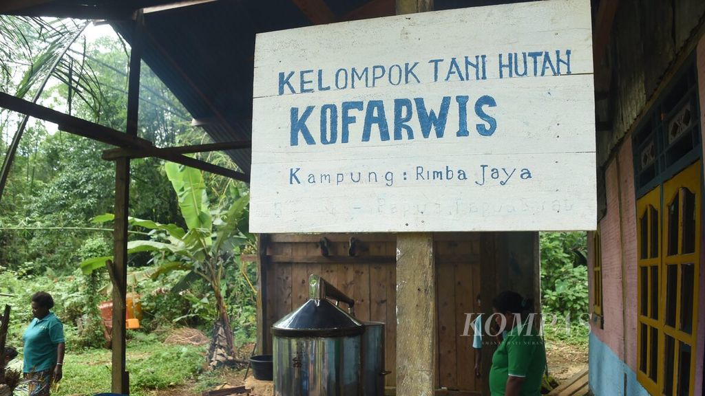 Penyulingan minyak kayu putih oleh anggota Kelompok Tani Kofarwis di Kampung Rimba Jaya, Kabupaten Biak Numfor, Papua, Sabtu (1/5/2021). Kelompok Tani Hutan Kofarwis merupakan salah satu penerima Kalpataru 2022.